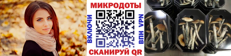 Псилоцибиновые грибы MAGIC MUSHROOMS  Купить  Амурск 